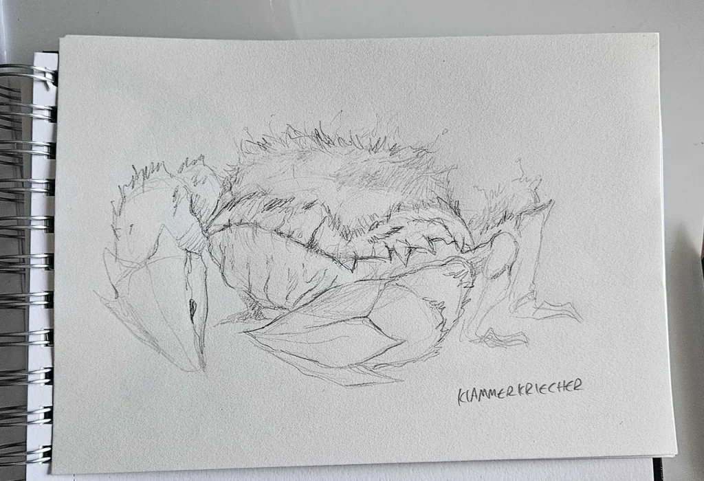 Clawcrawler Concept Art (by Vincent Modler)